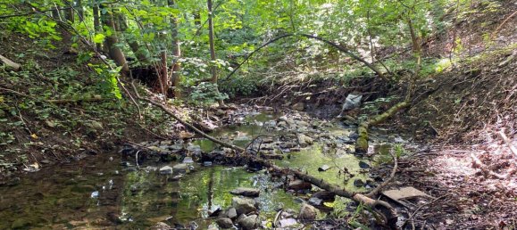 6غرفة منزل في Pressbaum, Austria رقم 205531 6