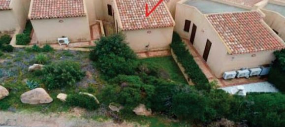 4-Zimmer Haus in Trinità d'Agultu e Vignola, Italy, Nr. 278079 6