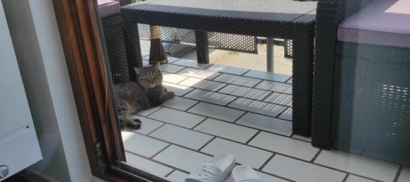 1 chambre Appartement à Neu-Ulm, Germany No. 326459 12