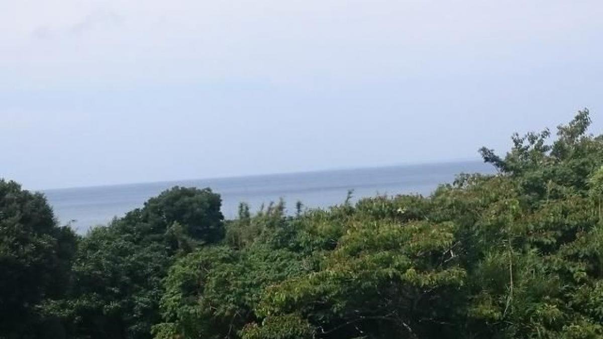 2 Schlafzimmer Haus in Chiba, Japan, Nr. 8970