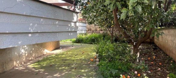 445m² Building in Pignataro Maggiore, Italy No. 56699 15