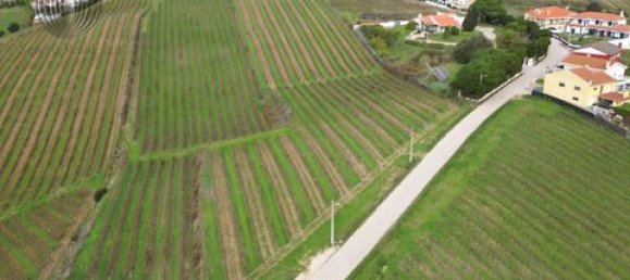 Земельный участок в Аленкер, Португалия № 151616 4