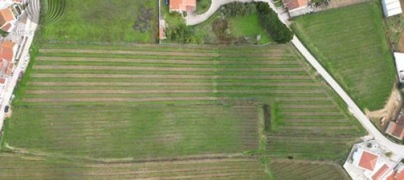 Земельный участок в Аленкер, Португалия № 151616 3