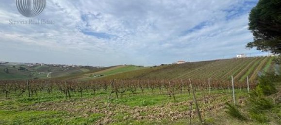 Земельный участок в Аленкер, Португалия № 151616 7