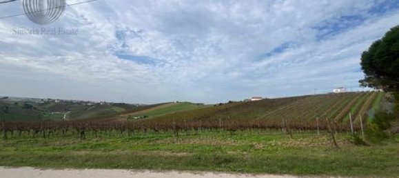 Земельный участок в Аленкер, Португалия № 151616 8