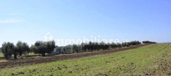 Дом с 3 спальнями в Ардеа, Италия № 32626 26