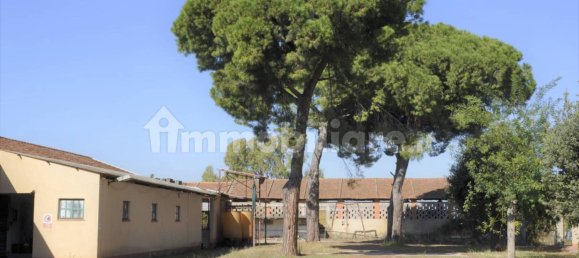 Дом с 3 спальнями в Ардеа, Италия № 32626 24