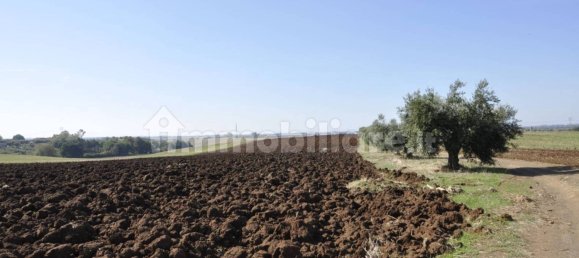 Дом с 3 спальнями в Ардеа, Италия № 32626 31