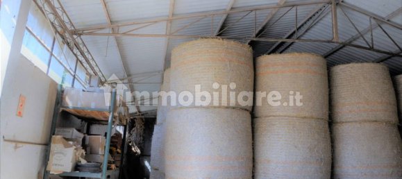 Дом с 3 спальнями в Ардеа, Италия № 32626 17