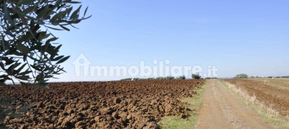 Дом с 3 спальнями в Ардеа, Италия № 32626 11