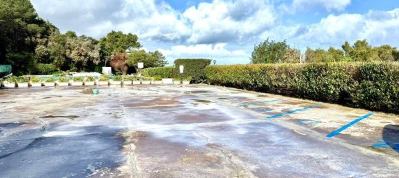 2 bedrooms Apartment in Marciana, Italy No. 55025 13