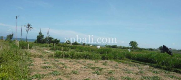 Terreno en Gianyar, Indonesia 7696 m² No. 3874 2