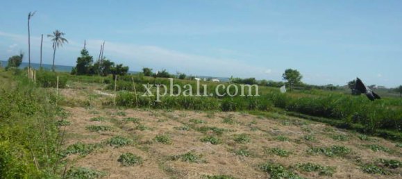 Terreno en Gianyar, Indonesia 7696 m² No. 3874 3