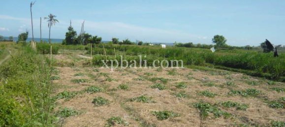 Terreno en Gianyar, Indonesia 7696 m² No. 3874 4