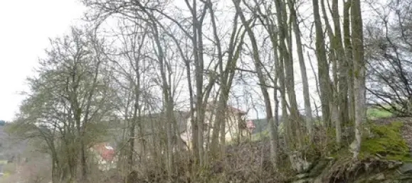 Grundstück in Kusel, Germany, Nr. 159717 3