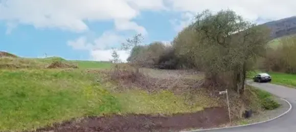 Grundstück in Kusel, Germany, Nr. 159717 2