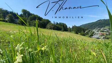  Land in Altmunster, Austria No. 231940