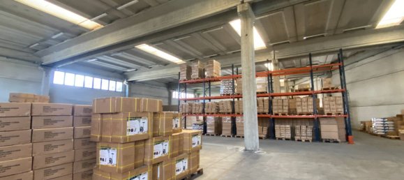  مستودع في Desio, Italy 1190متر مربع رقم 133837 10