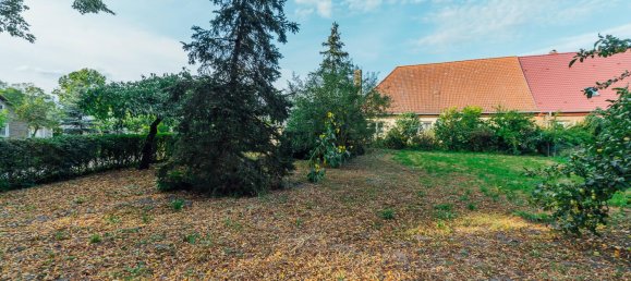 6غرفة تاون هاوس في Vorpommern-Greifswald, Germany رقم 174054 8