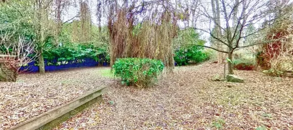 Imóvel comercial de 5 divisões em Heinsberg, Germany N.º 87267 23