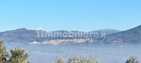 4 غرف نوم فيلا في Cannara, Italy رقم 304191 47