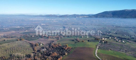 4 غرف نوم فيلا في Cannara, Italy رقم 304191 3