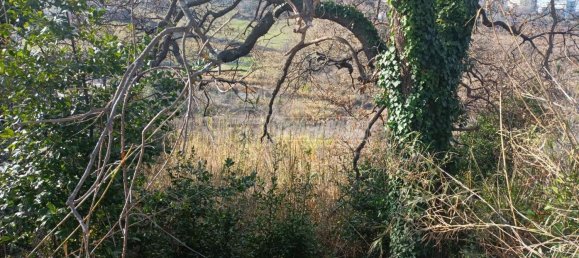 Земельный участок 22248м² в Анкона, Италия № 170981 3