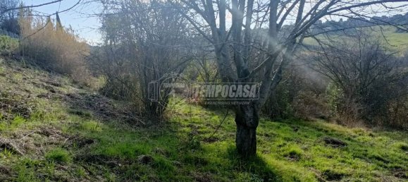 Земельный участок 22248м² в Анкона, Италия № 170981 9