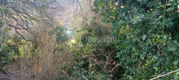 Земельный участок 22248м² в Анкона, Италия № 170981 15