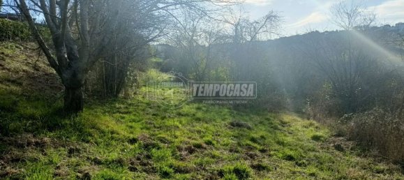 Земельный участок 22248м² в Анкона, Италия № 170981 13