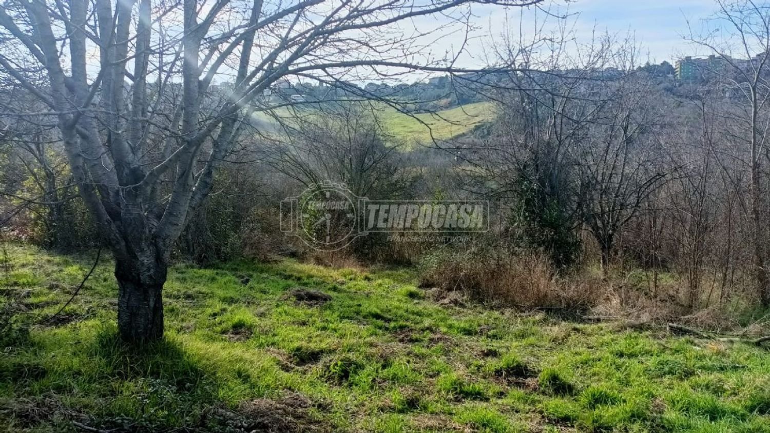 Земельный участок 22248м² в Анкона, Италия № 170981