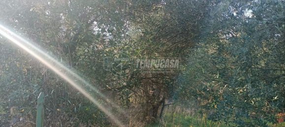 Земельный участок 22248м² в Анкона, Италия № 170981 16