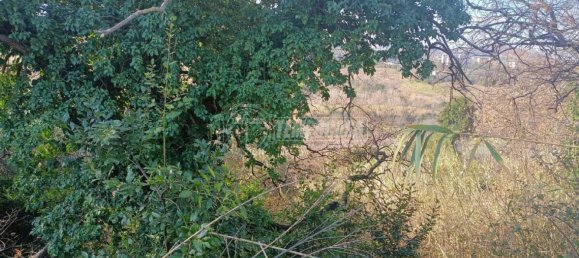 Земельный участок 22248м² в Анкона, Италия № 170981 8