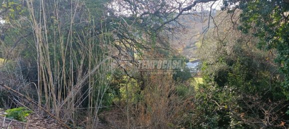 Земельный участок 22248м² в Анкона, Италия № 170981 17