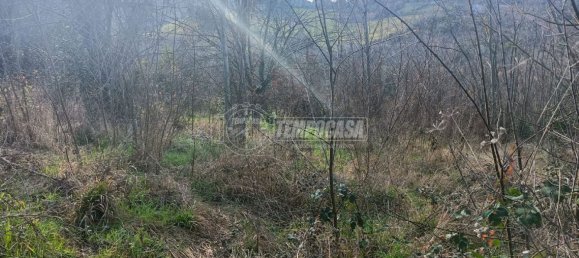 Земельный участок 22248м² в Анкона, Италия № 170981 10