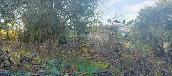 Земельный участок 22248м² в Анкона, Италия № 170981 4