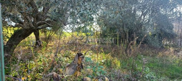 Земельный участок 22248м² в Анкона, Италия № 170981 5