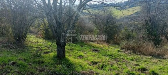 Земельный участок 22248м² в Анкона, Италия № 170981 7