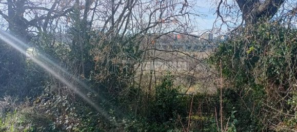 Земельный участок 22248м² в Анкона, Италия № 170981 14