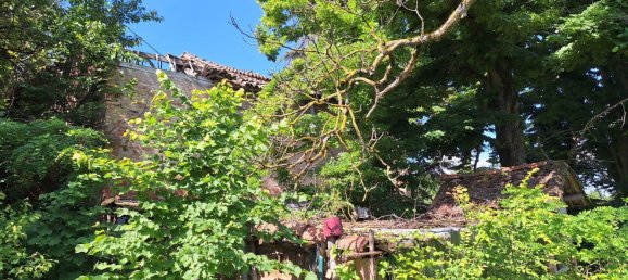 2غرفة منزل في Calamandrana, Italy رقم 75017 7