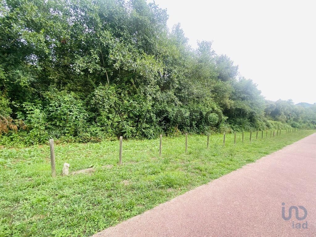  قطعة أرض في Loivo, Portugal 2850متر مربع رقم 215984