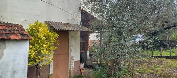 4 bedrooms House in Ferreira do Zezere, Portugal No. 25321 16