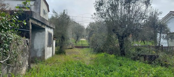 4 bedrooms House in Ferreira do Zezere, Portugal No. 25321 13