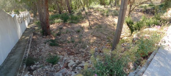 Land in Alcalali, Spain No. 103313 6