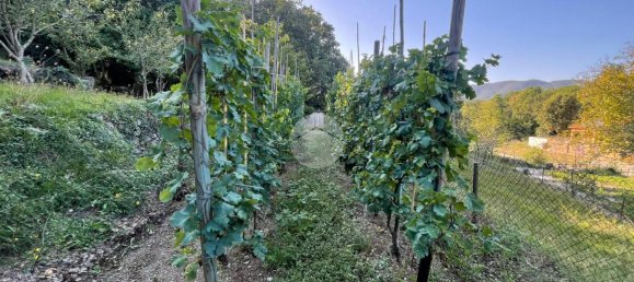 5 rooms House in Deiva Marina, Italy No. 18049 36