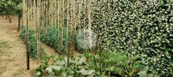 5 rooms House in Deiva Marina, Italy No. 18049 37