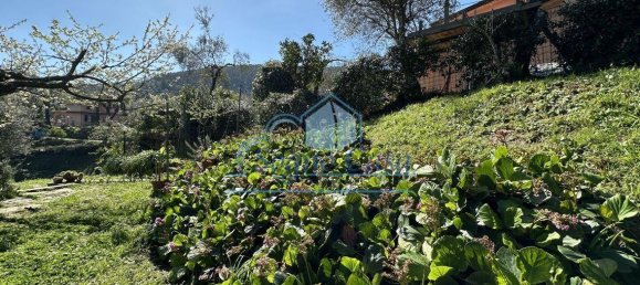 10 rooms Apartment in Ameglia, Italy No. 71433 13