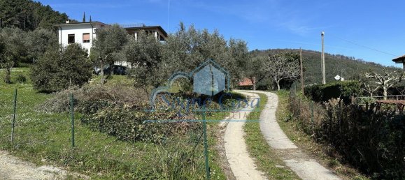 10 rooms Apartment in Ameglia, Italy No. 71433 10