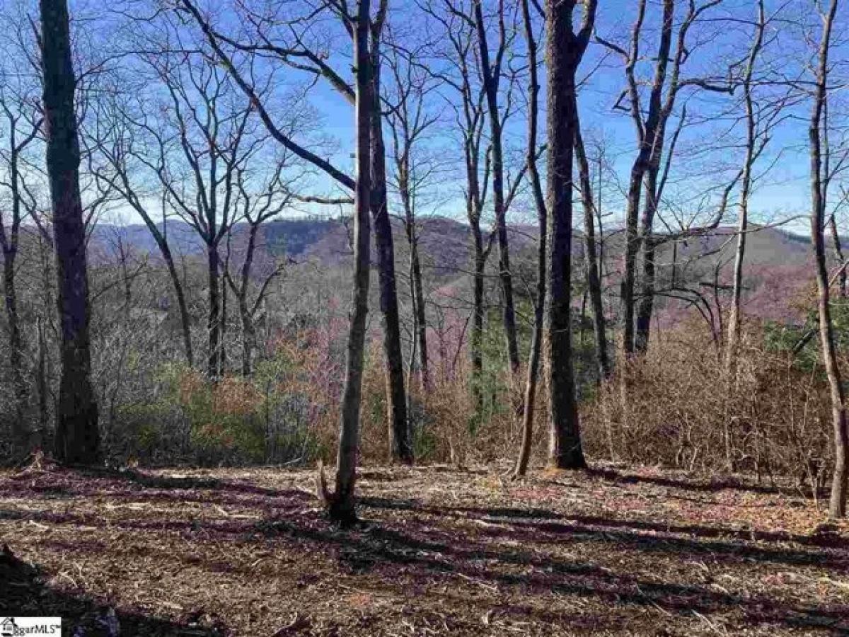  Land in Travelers Rest, USA No. 487513