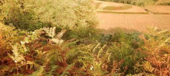 7غرفة شقة في Lariano, Italy رقم 98828 7